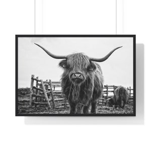 Black and White Highland Cow Print, Scottish Cattle Wall Art, Modern Farmhouse Wall Decor, Funky Home Decor, Bedroom Decor, Man Cave Decor