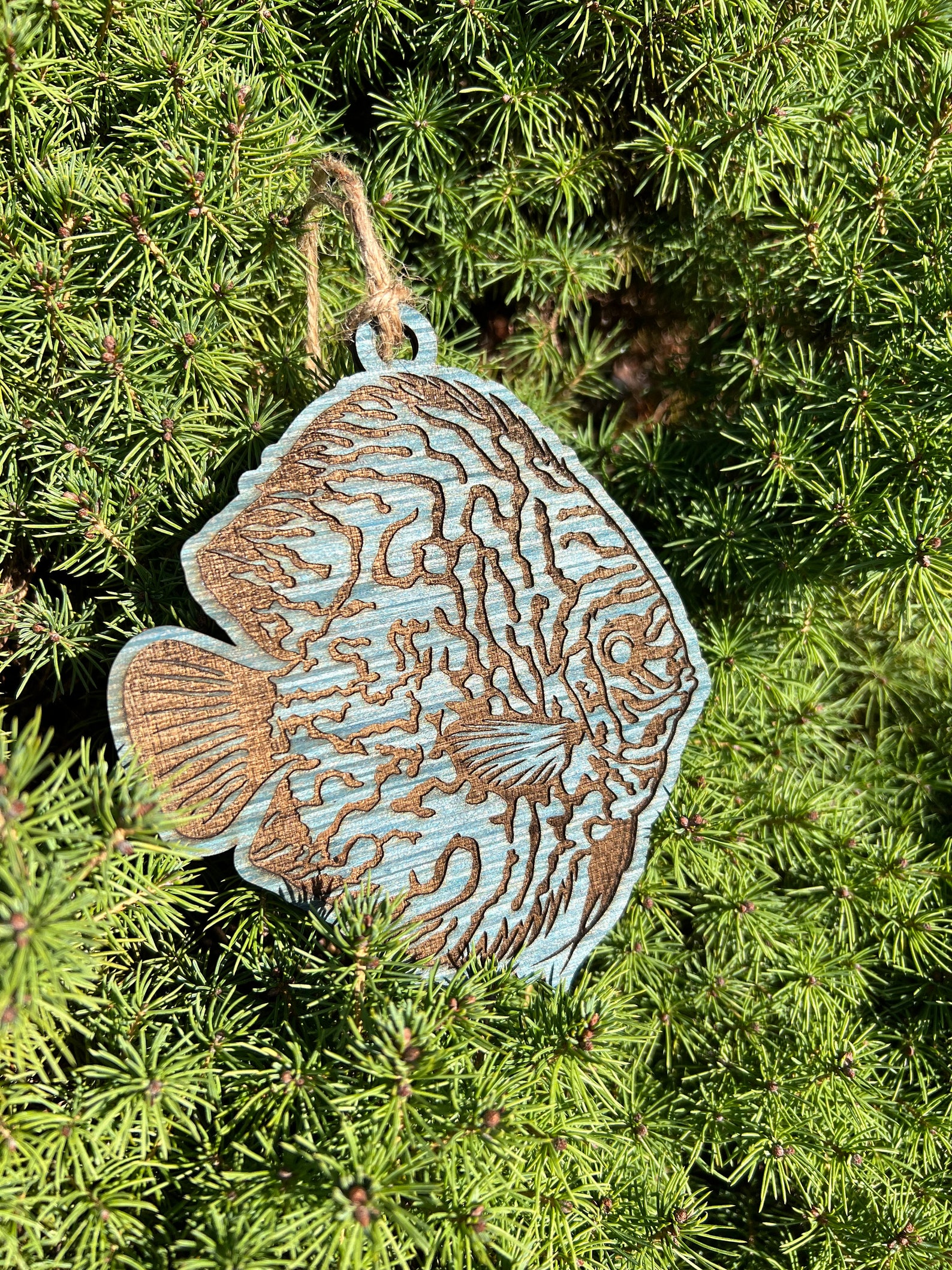 Discus Fish Christmas Tree Ornaments Etsy