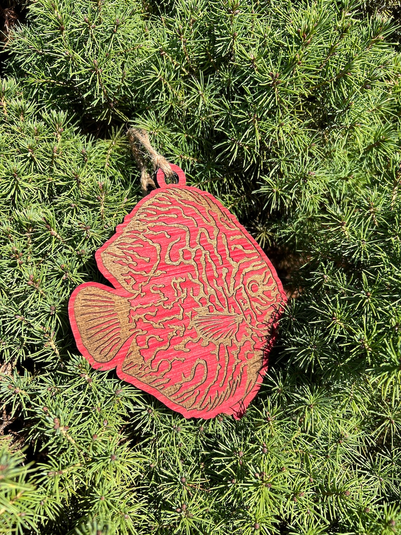 Discus Fish Christmas Tree Ornaments Etsy