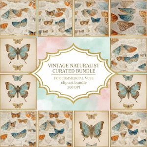 以下が含まれることがあります： 青、オレンジ、茶色の色合いのヴィンテージスタイルの蝶のイラストのコレクションです。画像には、蝶とその羽の詳細な図面が含まれており、「VINTAGE NATURALIST CURATED BUNDLE」と「clip art bundle 300 DPI」というテキストも含まれています。