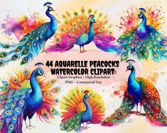 44 Paquete de imágenes prediseñadas de acuarela Aquarelle Peacocks - Imágenes PNG, Gráficos de aves majestuosas, Imprimibles coloridos, Descarga instantánea, Uso comercial