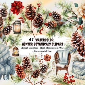 41 Clipart de botânicos de inverno em aquarela, cliparts florais de inverno, época de natal, adesivos de planejador, folhagem, cone, algodão, baixar