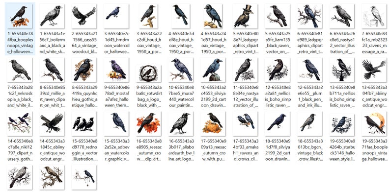 39 Vintage Ravens and Crows Clipart Antique Black Bird - Etsy