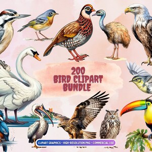 Pacote de 200 imagens PNG de pássaros clipart para scrapbooking digital, criação de cartões, download instantâneo de clipart de pássaros, licença comercial