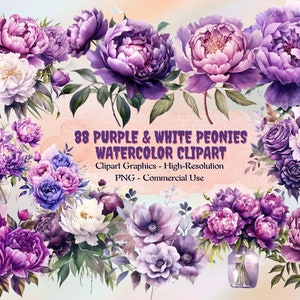 88 Clipart de aquarela de peônias roxas e brancas, clipart floral, clipart de flores de verão, pacote de peônias, download instantâneo, PNG de alta resolução