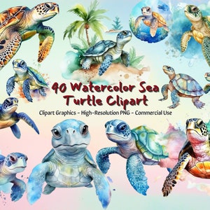 Paquete de 40 imágenes prediseñadas de tortugas marinas en acuarela en alta resolución PNG, imágenes para diseños de sublimación para niños, para uso comercial, niños png
