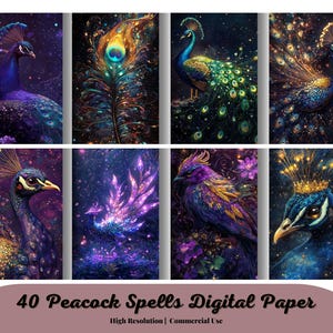 Puede incluir: Una colección de ocho impresiones de arte digital con ilustraciones vibrantes de pavos reales. La obra de arte muestra plumas detalladas en tonos de azul, morado, dorado y verde sobre un fondo oscuro y estrellado. El texto en la parte inferior dice "40 Peacock Spells Digital Paper".