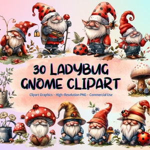 30 Marienkäfer Gnome Clipart Bundle, Gnome Clipart, Frühling Gnome PNG Grafiken, Frühling Sublimation, transparenter Hintergrund, kommerzielle Nutzung