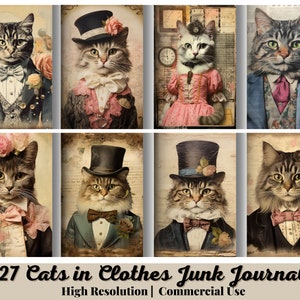 27 chats déguisés, demi-papiers pour carnet, fournitures de scrapbooking pour carnet, pages de carnet vintage, éphémères, Stamperia, pages éphémères