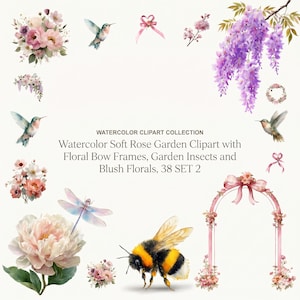 Watercolor Soft Rose Garden Clipart with Floral Bow Frames, Garden Insects and Blush Florals, 38 PNG Digital Download SET 2