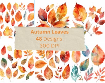 Watercolor Fall Leaves Clipart Autumn Clipart Fall Clipart Thanksgiving, Halloween Yellow Red Leaf Woodland Rustic Oak Maple leaves