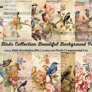 21 pg The BIRDS COLLECTION Beautiful Background Pages Themed Digital Print Naturel Pink Journaing Cards Junk Journal Printable Bird