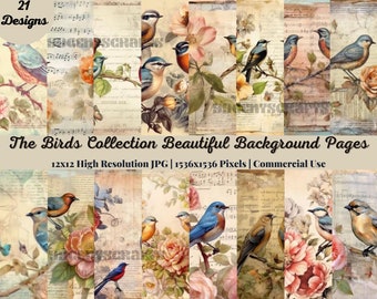 May include: A digital collage sheet featuring 21 designs of birds and flowers on a vintage background. The designs are high resolution and perfect for crafting projects. The text "The Birds Collection Beautiful Background Pages" is at the top of the sheet.