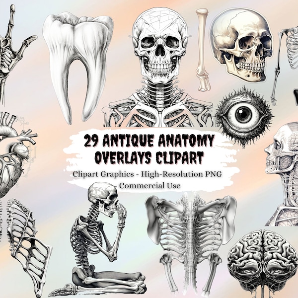 29 Antique Anatomy Overlays, vintage skeleton and anatomical clip art graphics and illustrations PNG format instant download commercial use