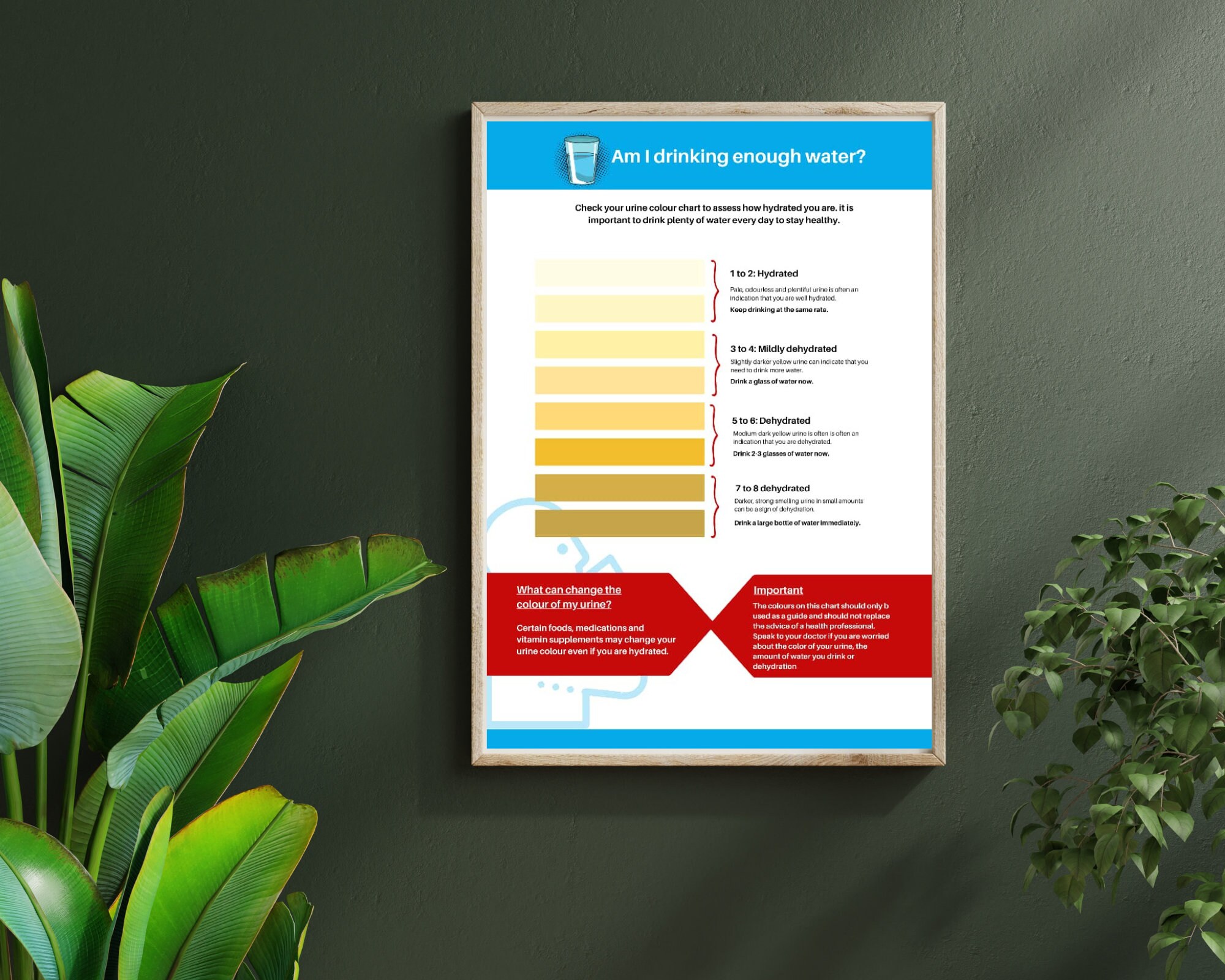 Dehydration Poster, Am I Drinking Enough Water Poster Urine Color Chart, Water Intake Chart