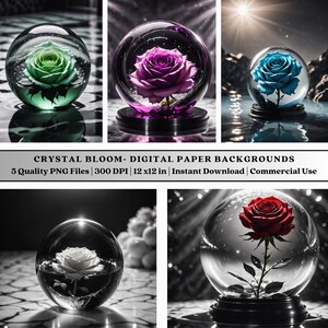 Puede incluir: Fondos digitales con rosas dentro de esferas de cristal. Las rosas son de varios colores: verde, morado, azul, blanco y rojo. Se muestra el texto "CRYSTAL BLOOM- DIGITAL PAPER BACKGROUNDS". Tamaño: 12 x 12 pulgadas.