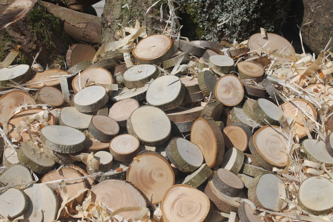 Real Wood Slices,tree Branch Slices, Mixed Wood, With Natural Bark