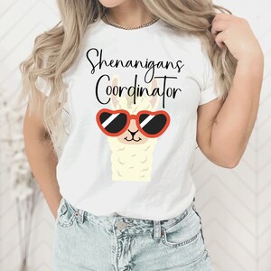 Shenanigans Coordinator -Unisex Heavy Cotton Tee