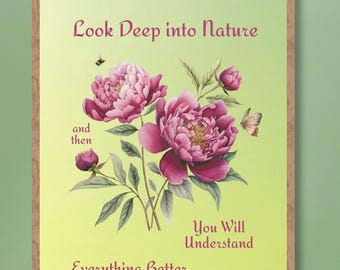 Póster con cita "Mira profundamente la naturaleza" de Albert Einstein, ilustración de peonías rosas, arte de pared para decoración del hogar o la oficina, regalo para amantes del arte y la naturaleza.
