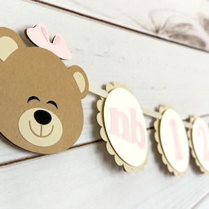 Teddy bear monthly photo banner teddy bear milestone banner first birthday bear decorations first birthday beary first birthday banner bear