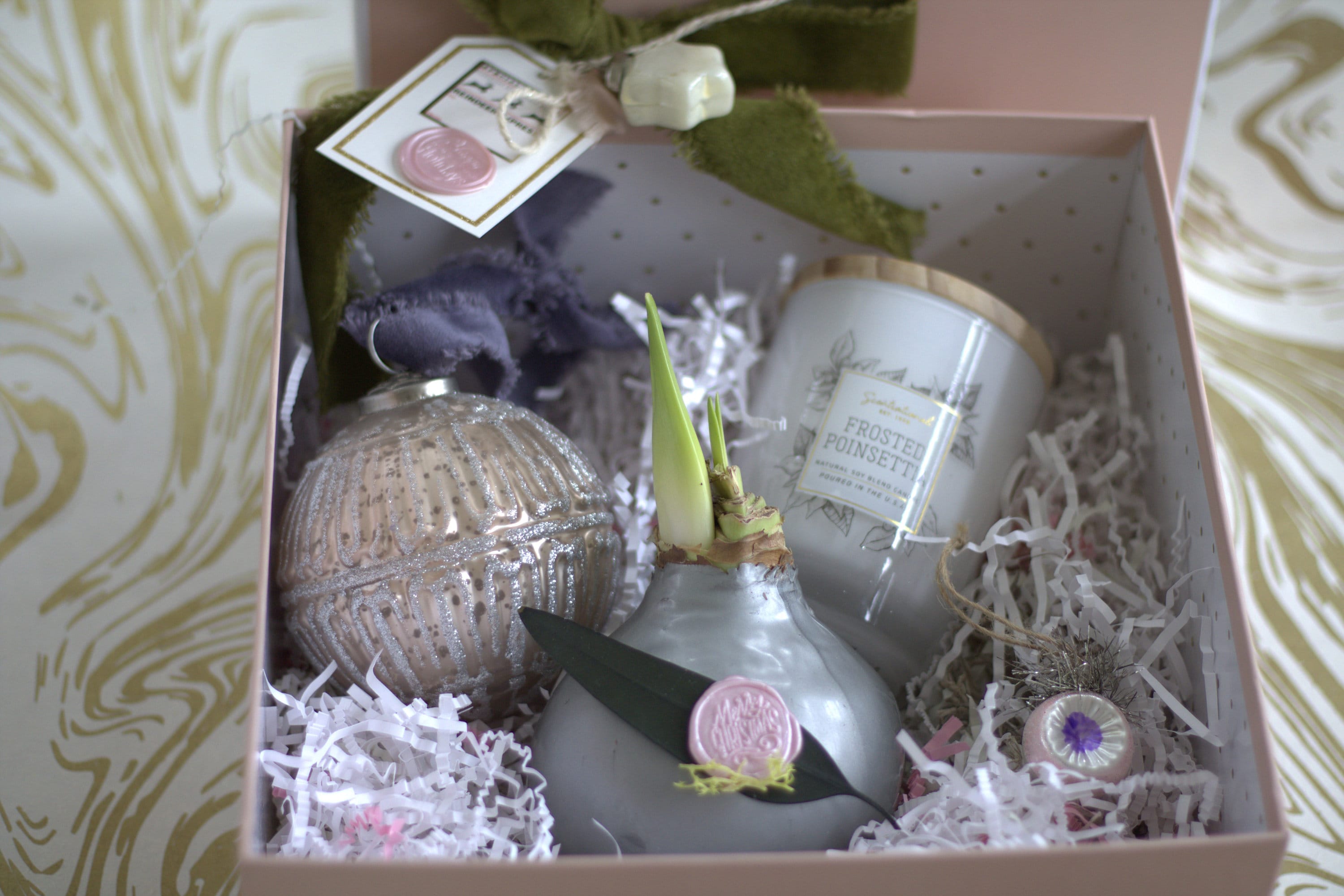 Waxed Amaryllis Holiday Gift Box