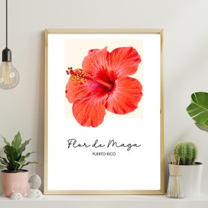 Flor de Maga-afdruk - afdrukbare muurkunst, nationale bloem van Puerto Rico, bloemen kunst aan de muur, tropische plant illustratie, Borinken-kunst, woondecoratie