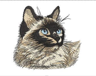 Diseño de bordado a máquina de la cara de un gato siamés: 5 tamaños (descarga instantánea)