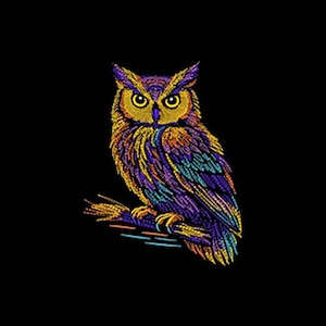 May include: A colorful owl illustration on a black background. The owl is depicted with vibrant hues of yellow, purple, orange, and teal. It is perched on a branch, with detailed feather textures and bright yellow eyes.