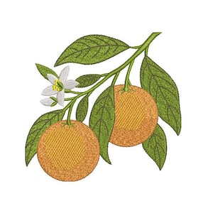 Könnte beinhalten: Gesticktes Design von zwei Orangen auf einem Zweig mit grünen Blättern und einer weißen Blüte. Die Orangen haben eine strukturierte orange Farbe, und die Blätter sind grün mit detaillierten Stichen. Das Design befindet sich auf weißem Hintergrund.