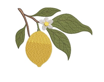Diseño de bordado a máquina de ramita de limón: Rama de fruta de cocina (archivo digital, 6 tamaños)
