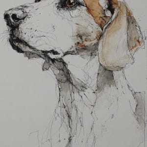 May include: Watercolour illustration of a dog's head and upper body, in a loose, expressive style. The dog has brown eyes, a tan and brown head, and long, floppy ears. The artwork uses line work and washes of colour.
