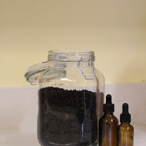 ELDERBERRY TINCTURE, organic elderberry