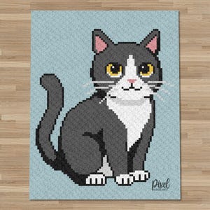 Può includere: Un tappeto rettangolare con un design in pixel art di un gatto grigio e bianco seduto su uno sfondo azzurro. Il gatto ha occhi gialli, interno delle orecchie rosa e un piccolo naso rosa. Il testo Pixel Crochet è stampato nell'angolo in basso.