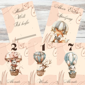 Biglietti per traguardi per bambini personalizzabili - Set di 22 biglietti, regalo per nascita, 3 prime settimane di mesi e momenti speciali, mongolfiera