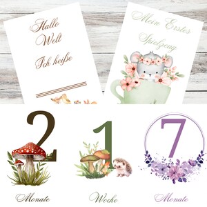 Cartes étapes bébé personnalisables - Ensemble de 22 cartes, cadeau de naissance, 3 premières semaines, mois et moments spéciaux, jeunes animaux de la forêt