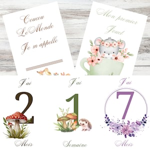 Cartes Étapes Bébé Personalisables, 22 Cartes pour les Premières Semaines en Mois Jusqu'à 1 An + 6 Speciale evenementen, Animaux de la forêt