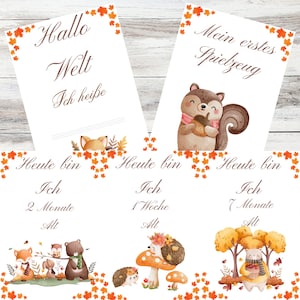 Cartes étapes bébé personnalisables - Lot de 22 cartes - Cadeau de naissance - 3 premières semaines, mois et moments spéciaux - Animaux de la forêt.