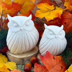 May include: Two white owl figurines with smooth, rounded bodies and textured, vertical feather patterns. Each owl features prominent ear tufts and circular eyes, standing on individual light-colored wooden circular bases.