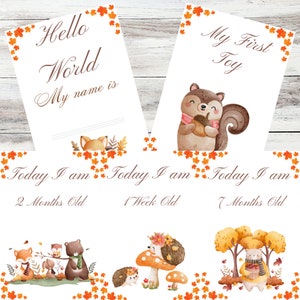 Baby Milestone Cards Personalizable – Set of 22 Cards, Birth Gift, 3 First Weeks Months & Special Moments, Cute Fall Woodland Animals
