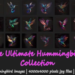 Die ultimative Kolibri-Kollektion Schöne Kolibri-Kunst | Sofortiger digitaler Download von AiSight