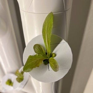 Home Hydroponics Grow Cover