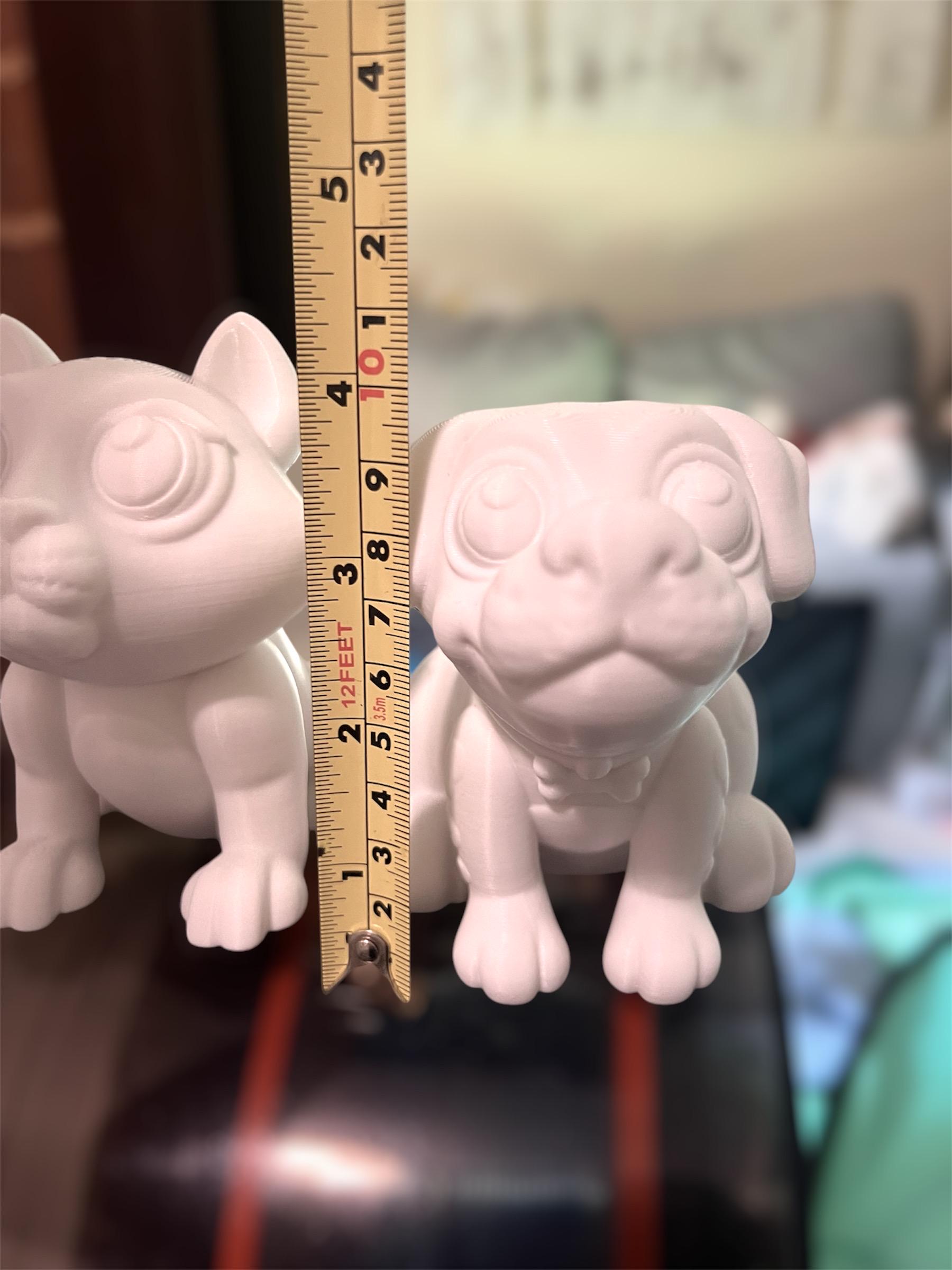 Paint-your-own Animal Buddy 3D Printed Animal or Dino Kit - Etsy