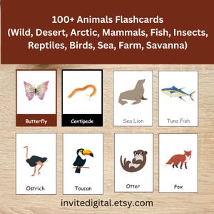 100+ Animals flashcards PDF Download | Mammal Insects Fish Birds Wild Reptiles Amphibians Ocean Sea Animals cards for Nursery Kindergarten