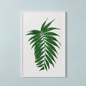 Parlor Palm Artwork - Digital Download of Original Drawing