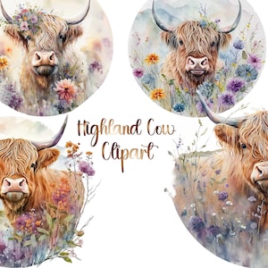 Highland Cow bundle, highland cow png, highland cow, cow png, highland cow clipart, highland cow shirt, cute cow png, highland heifer png