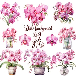 42 Watercolor Pink Orchid Clipart, JPGs, High Quality JPGs, Digital Download - Card Making, Mixed Media, Digital Paper Craft, Floral clipart