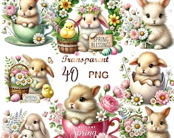 May include: A collection of 40 PNG images featuring adorable bunnies, chicks, and floral arrangements. The images include bunnies in teacups, baskets, and eggs, with the text "Spring Blessings" and "Welcome Spring". The color palette is soft and pastel.