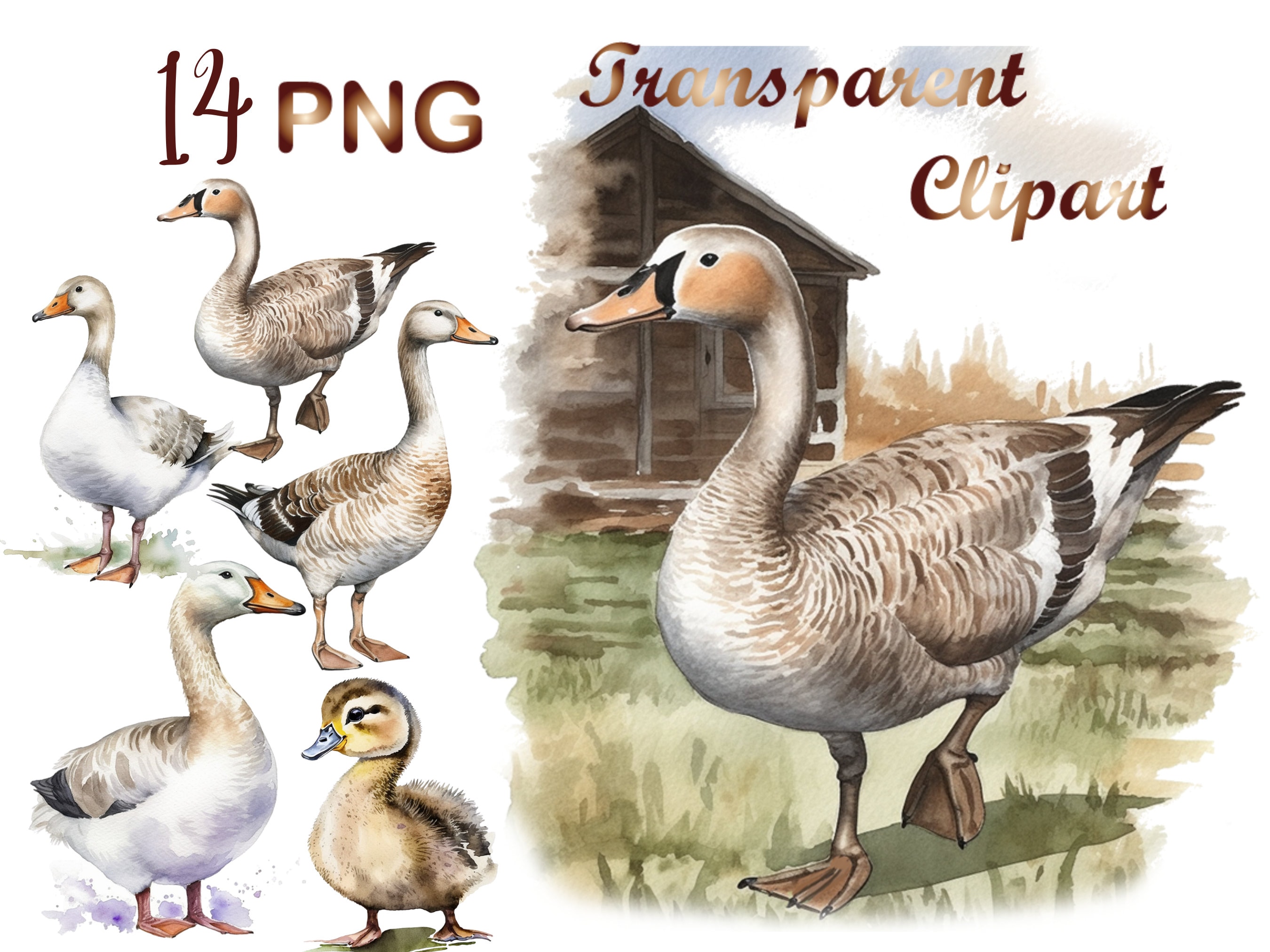 Watercolor Goose Clipart Bondle, 14 Goose on the Farm Png, Watercolor ...