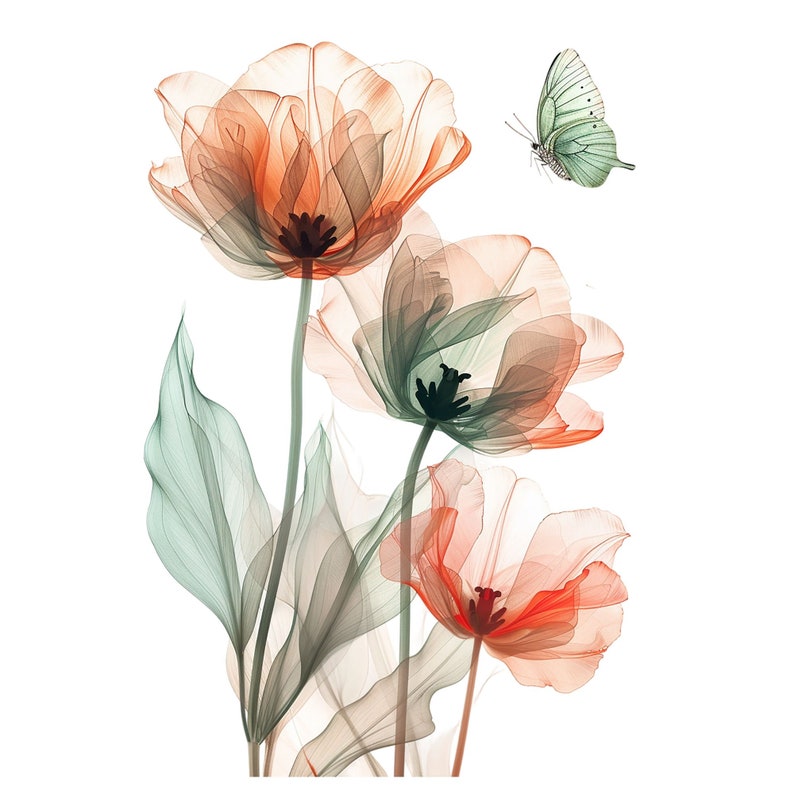 May include: A watercolor-style illustration of three delicate, translucent flowers with a butterfly hovering above them. The flowers are in shades of peach and orange, with green leaves.