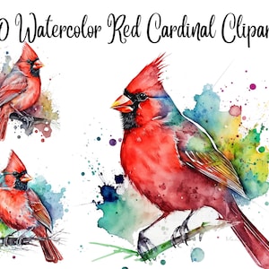 10 Red Cardinal Clipart, Watercolor clipart, bird clipart, JPGs, Watercolor, Commercial Use,Digital Download